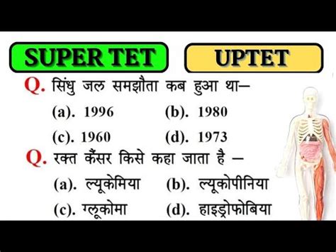 Kvs Prt Gk Super Tet Uptet Important Questions Ssc