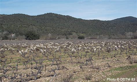 Charte Agricole Du Var Et Mallette Du Foncier Agricole Pr Servation