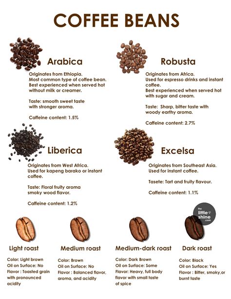 TYPES OF COFFEE BEANS - The Little Shine