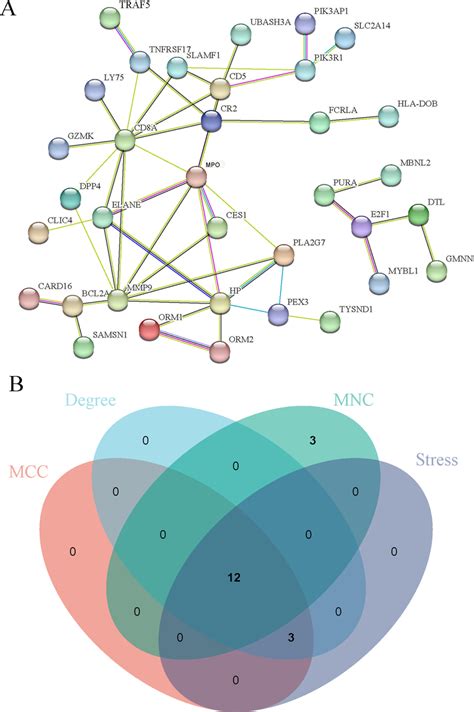 Protein Protein Interaction Ppi Networks And Hub Genes For Degs