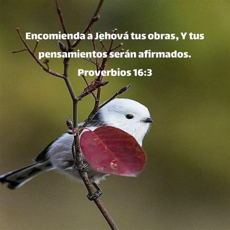 Proverbios 16 3 Encomienda a Jehová tus obras Y tus pensamientos serán