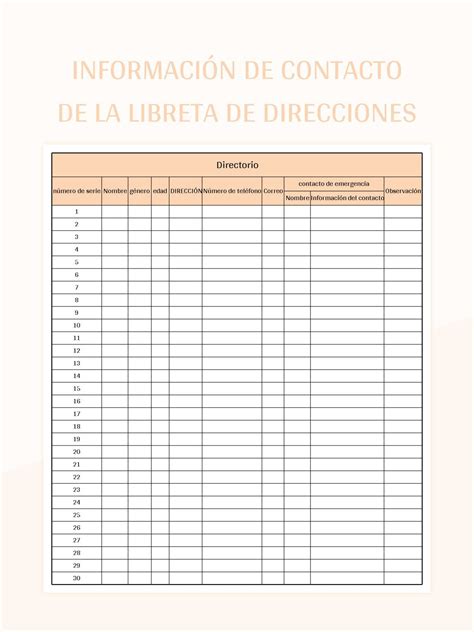 Plantilla de Excel Información De Contacto De La Libreta De Direcciones