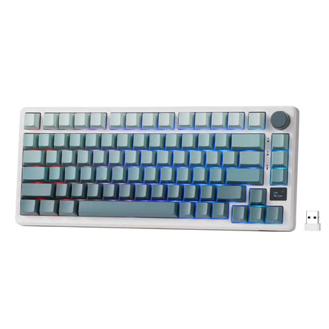 RK ROYAL KLUDGE R65 65% Wireless Gaming Keyboard Supports QMK/VIA ...