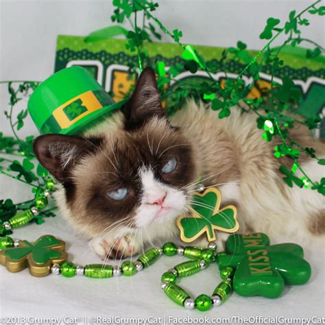 Grumpy St Patricks Day Grumpy Cat®