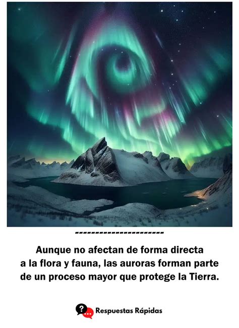 C Mo Se Forman Las Auroras Boreales Y D Nde Se Producen Respuestas