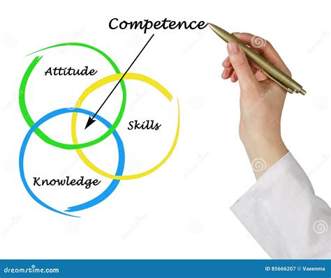 Diagramm Der Kompetenz Stockbild Bild Von Diagramm Darstellung