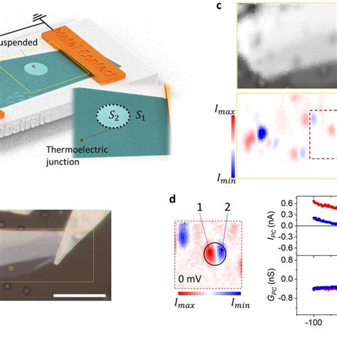 Comparison Of Spcm And Sthgm Measurements A Optical Micrograph Of The