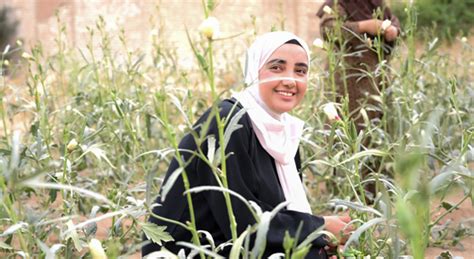 Fao In Egypt Food And Agriculture Organization Of The United Nations