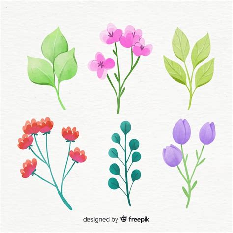 Free Vector Floral Branch Collection In Watercolor Style