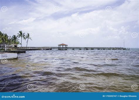 View of Key West Beach at Sunset. Stock Image - Image of object, palm: 175593747