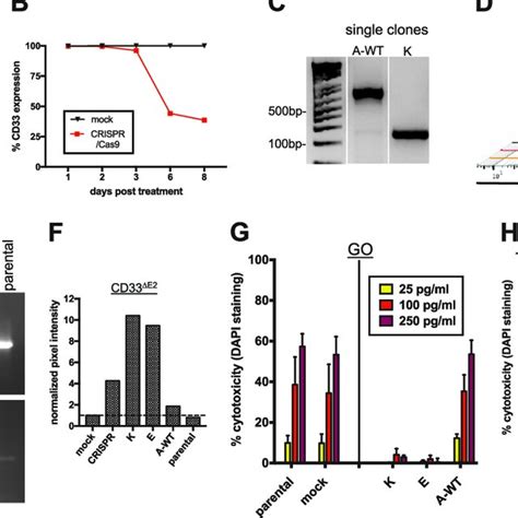 Resistance Of Cd33 Δe2 Ml 1 Cells To Cd33 Fl Directed Drugs A Pcr Download Scientific Diagram