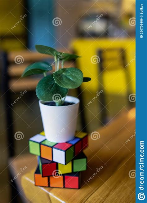 Kuala Lumpur Malaysia Th November Plant On A Cube Of Rubik