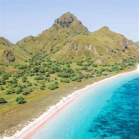 Pulau Komodo Pasir Pink