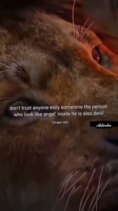 Don T Trust Anyone 🥀 English Sayings Youtube