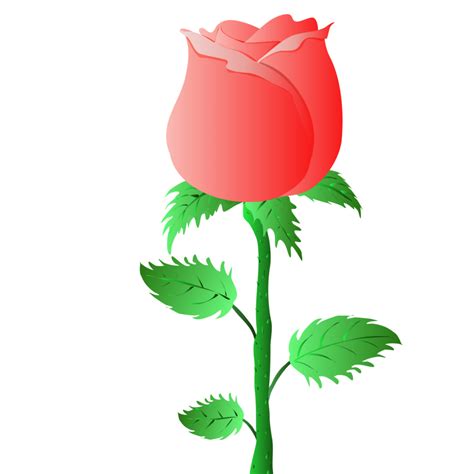 a single rose on a stem with leaves 36886072 PNG