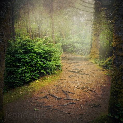 Create More Light Oregons Hobbit Trail A Real Enchanted Forest