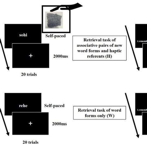 Learning And Recognition Tasks Download Scientific Diagram