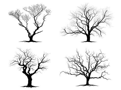 Black Branch Tree Or Naked Trees Silhouettes Hand Drawn Isolated Illustrations Vector