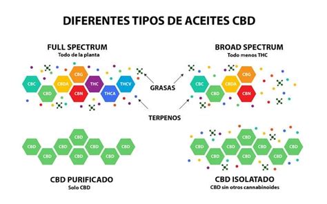 Tipos Y Calidad Del Aceite Cbd Florprohibida