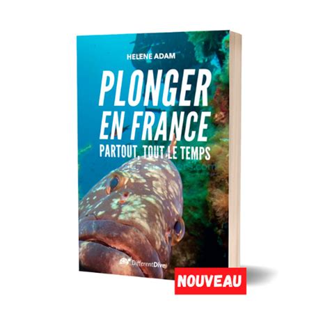 Plonger en France Partout Tout le Temps Hélène Adam Subchandlers