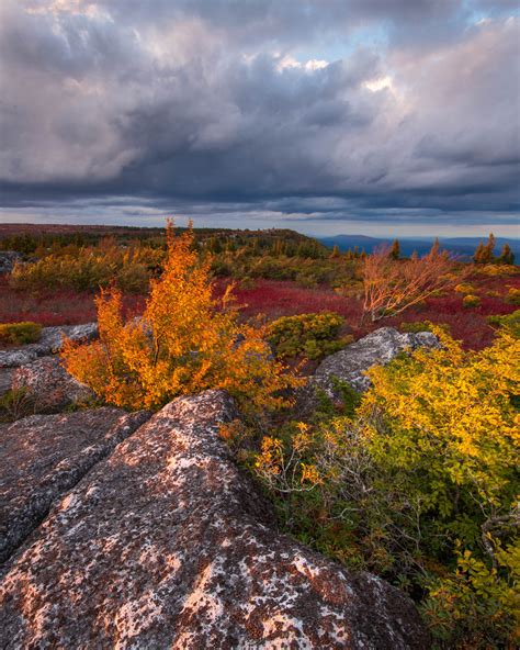 Autumn Color Along The Allegheny Front From Dolly Sods At Sunset