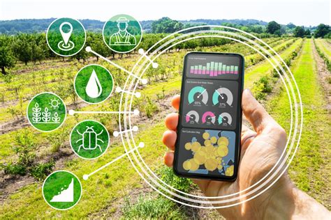 5 Contoh IoT Dalam Bidang Pertanian Untuk Smart Farming Link Net