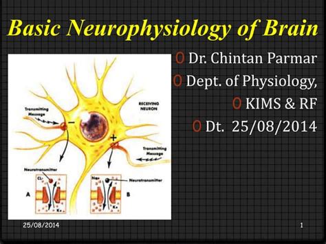 Neurobiology of memory