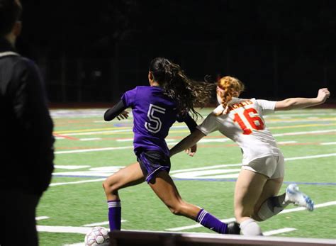 The Case For A Lesbian Disney Princess The Piedmont Highlander