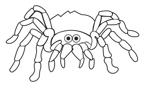 15 Best Printable Halloween Spider Coloring Pages Pdf For Free At