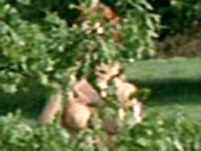 KAI FISCHER Nude AZNude