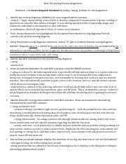 Nursing Process Homework Assignment Pdf NSG 252 Nursing Process