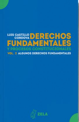 Derechos Fundamentales Y Procesos Constitucionales San Cristobal