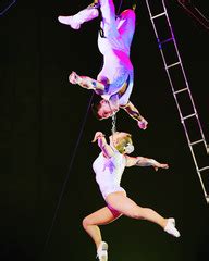 Aerial cradle - Performing Arts Acts - StageLync