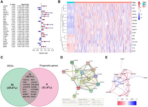 Identification Of The Differentially Expressed Angiogenesis Related