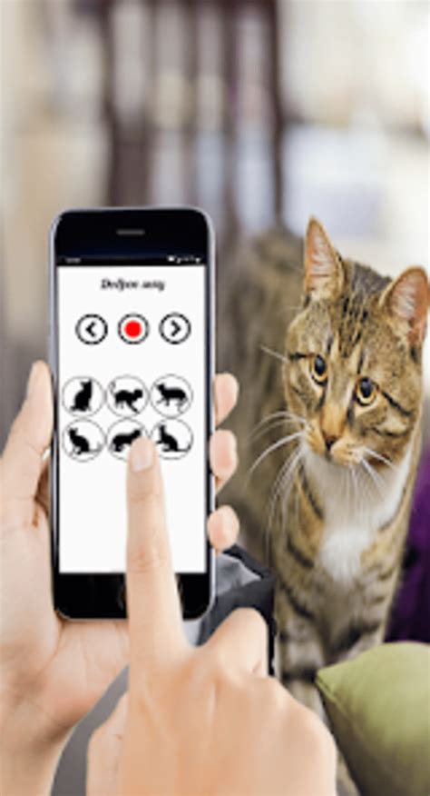 Android için Cat Sounds play with cat İndir