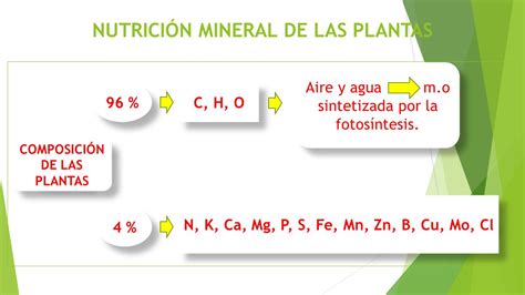 INTERCAMBIO CATIONICO Y ANIONICO CIC Y NUTRICIÓN MINERAL DE LAS