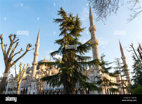 Blue Mosque Sultan Ahmed Mosque Sultan Ahmet Camii In Istanbul