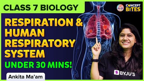 Respiration In Organisms Respiration And Human Respiratory System Class 7 Science Byju S