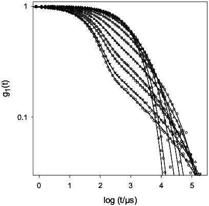 Double Logarithmic Representation Of The Electric Field Autocorrelation