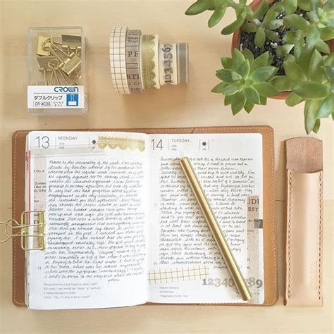 An Open Book Sitting On Top Of A Table Next To A Plant And Tape Dispenser