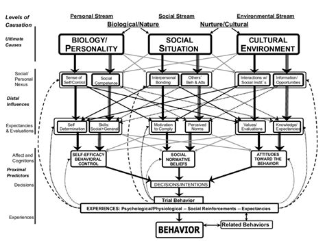 1 The Theory Of Triadic Influence Download Scientific Diagram