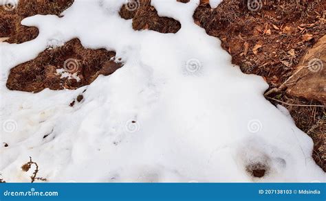 Snowfall at Patnitop stock image. Image of season, bright - 207138103