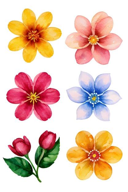 Seite Fotos Flower Clipart Ber Hochqualitative