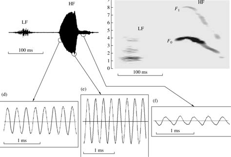 Normal Signal A Rhythmic Structure A Sequence Of Five Sounds B