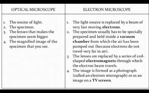 Comparision Between Optical Microscope Sem And Tem Together