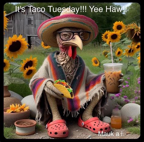 Pin By F L On Positive Affirmations In 2024 Taco Tuesdays Funny Taco