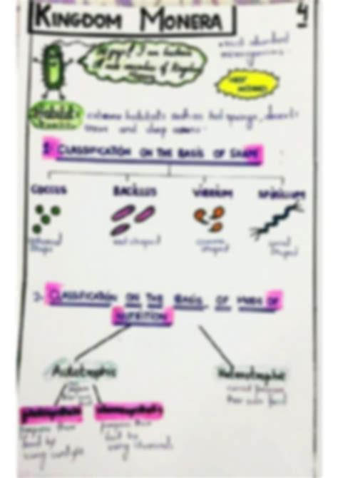 Solution Biological Classification Handwritten Notes Studypool