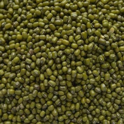 Green Moong Sabut Dal At Best Price In Delhi Ss Pulses Manufacturing