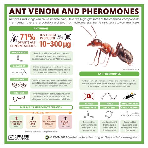 Periodic Graphics: Ant venom and pheromones