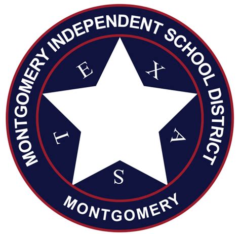 Project Impact Mentor Spotlight The Misd Premier Blog